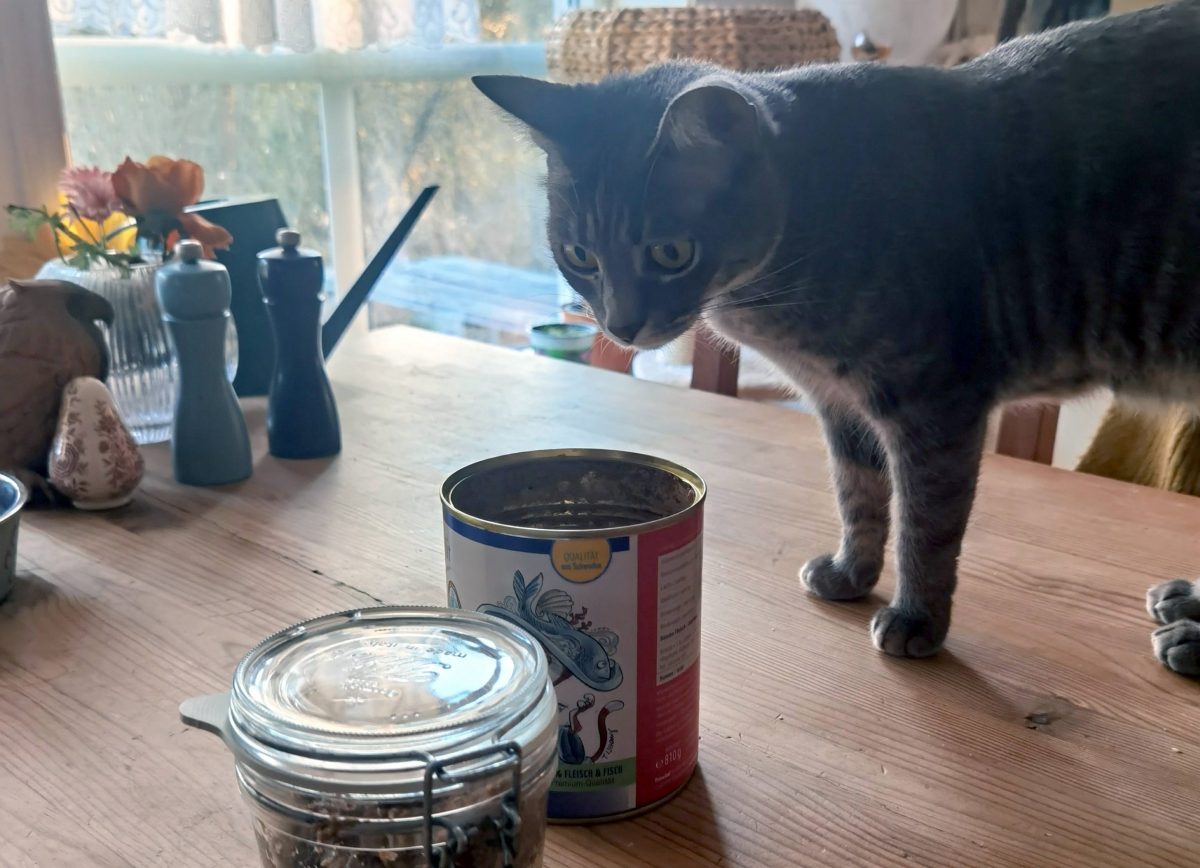 Artgerechtes Katzenfutter Lilou